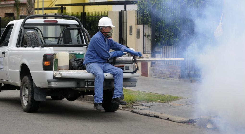 Concientizaci N Y Fumigaci N Para Combatir El Mosquito Del Dengue