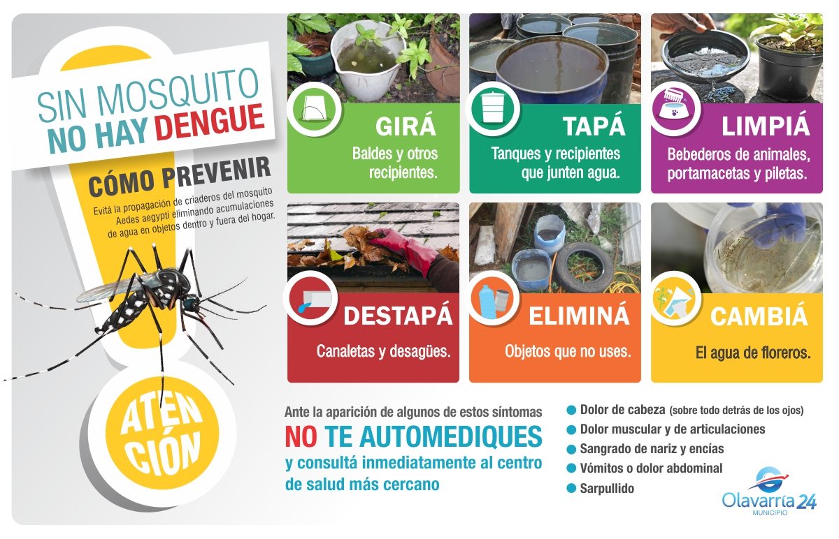 Concientización y fumigación para combatir el mosquito del dengue