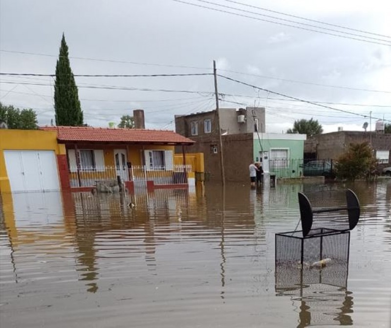 Cuando la desidia es tan grande como la ignorancia