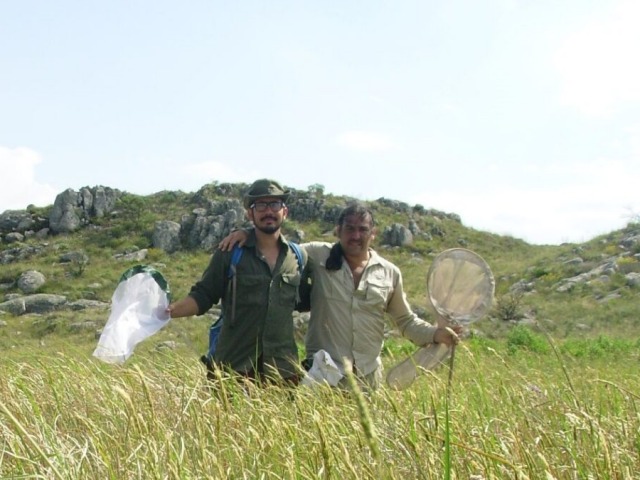 Investigan variedad de mariposas en las sierras de Tandilia