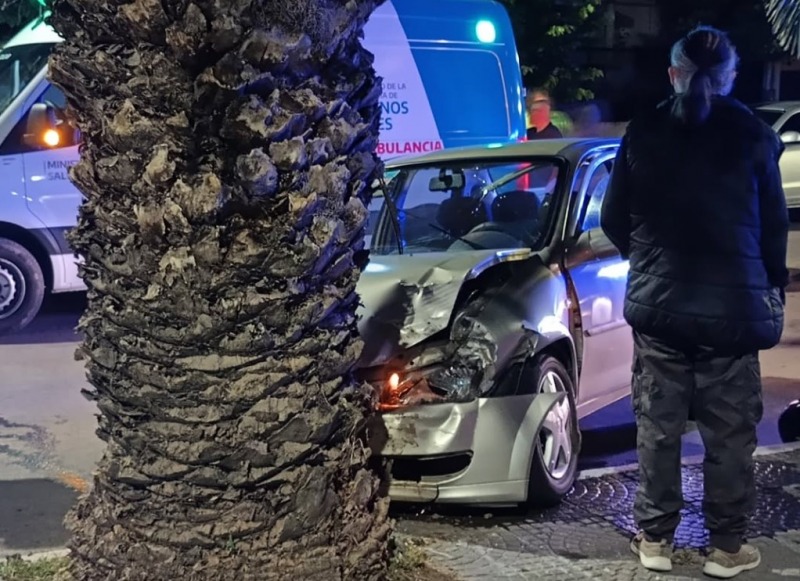 Una joven se descompens y choc contra la palmera de un separador