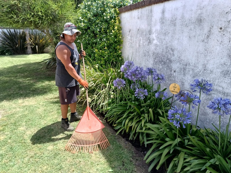 Consejos para mantener el jardn en verano