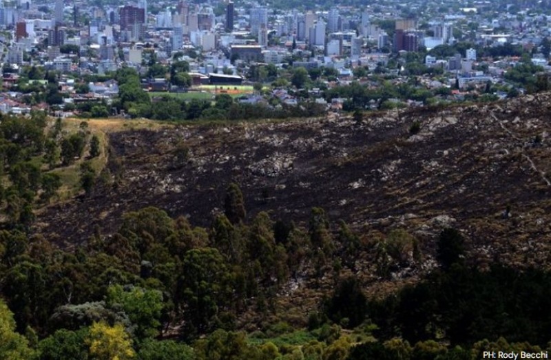 Bomberos y el mega operativo de Provincia controlaron el incendio