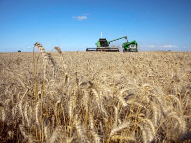 El gobierno baja las retenciones a la soja, el trigo y el girasol