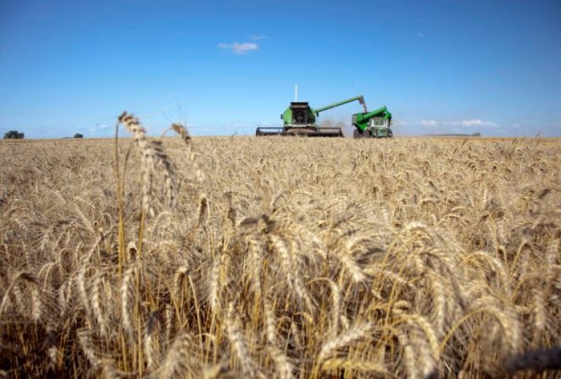 El gobierno baja las retenciones a la soja, el trigo y el girasol