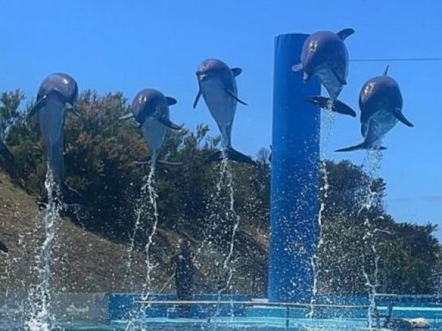 Cierra Aquarium Mar del Plata: los animales sern reubicados