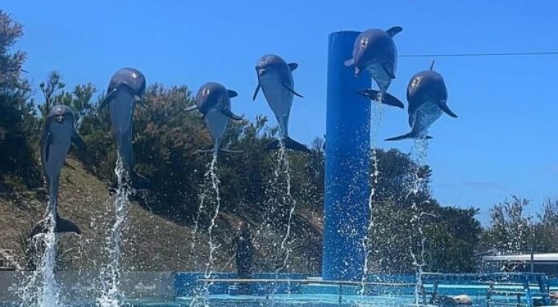 Cierra Aquarium Mar del Plata: los animales sern reubicados